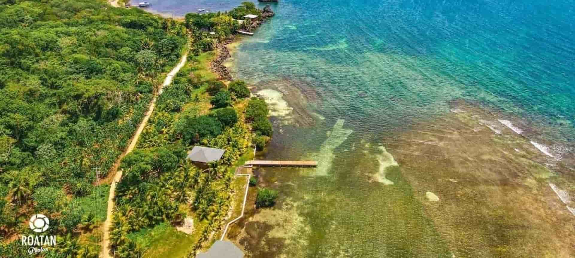 Beautiful beach in Roatan